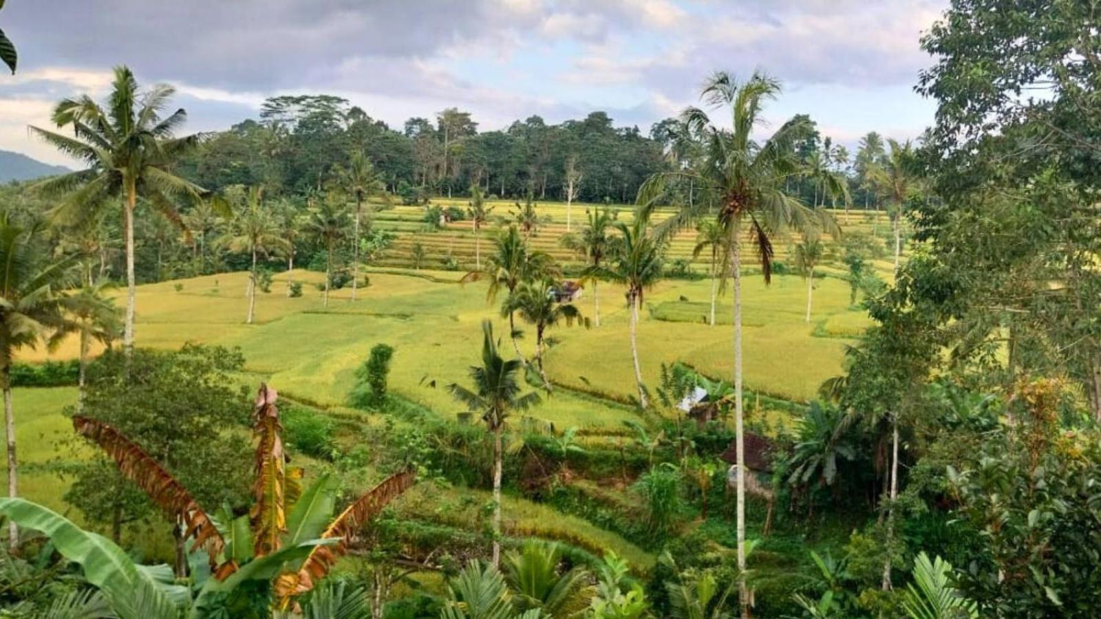 Pondok Sapta Sallaca Selat Exterior photo